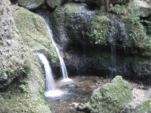 画像 122.jpg